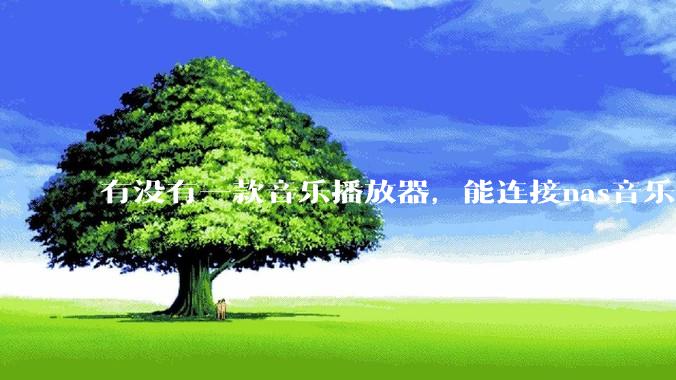 有没有一款音乐播放器，能连接nas音乐，创建音乐库，自动匹配歌词封面等等？类似infuse的概念呢？