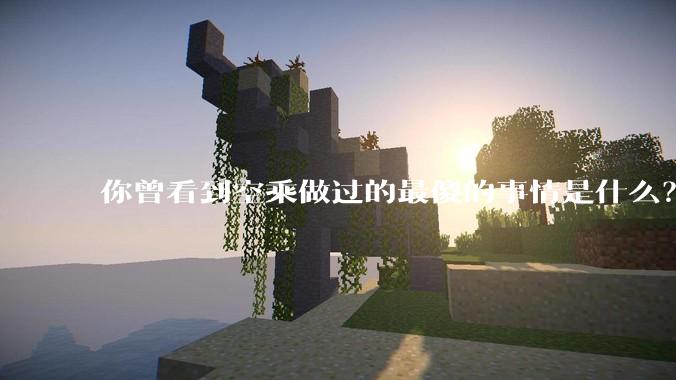 你曾看到空乘做过的最傻的事情是什么？